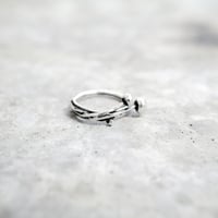 "flammulina ring" bk/wh