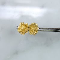 "Harujion pieaced" 7分咲き gold