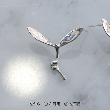 "SEED" ヤドリギ ピアス
