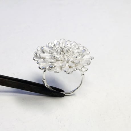 "shirobana ring"