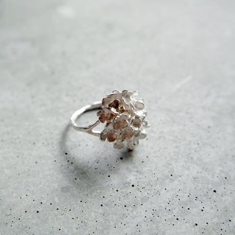 "hydrangea ring"