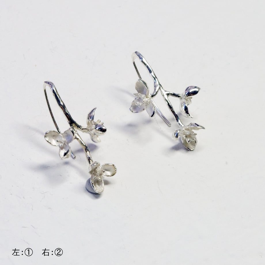 576dfae200d331254a004099