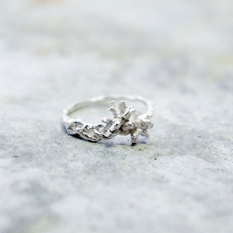 acacia ring | Fillyjonk ONLINE STORE