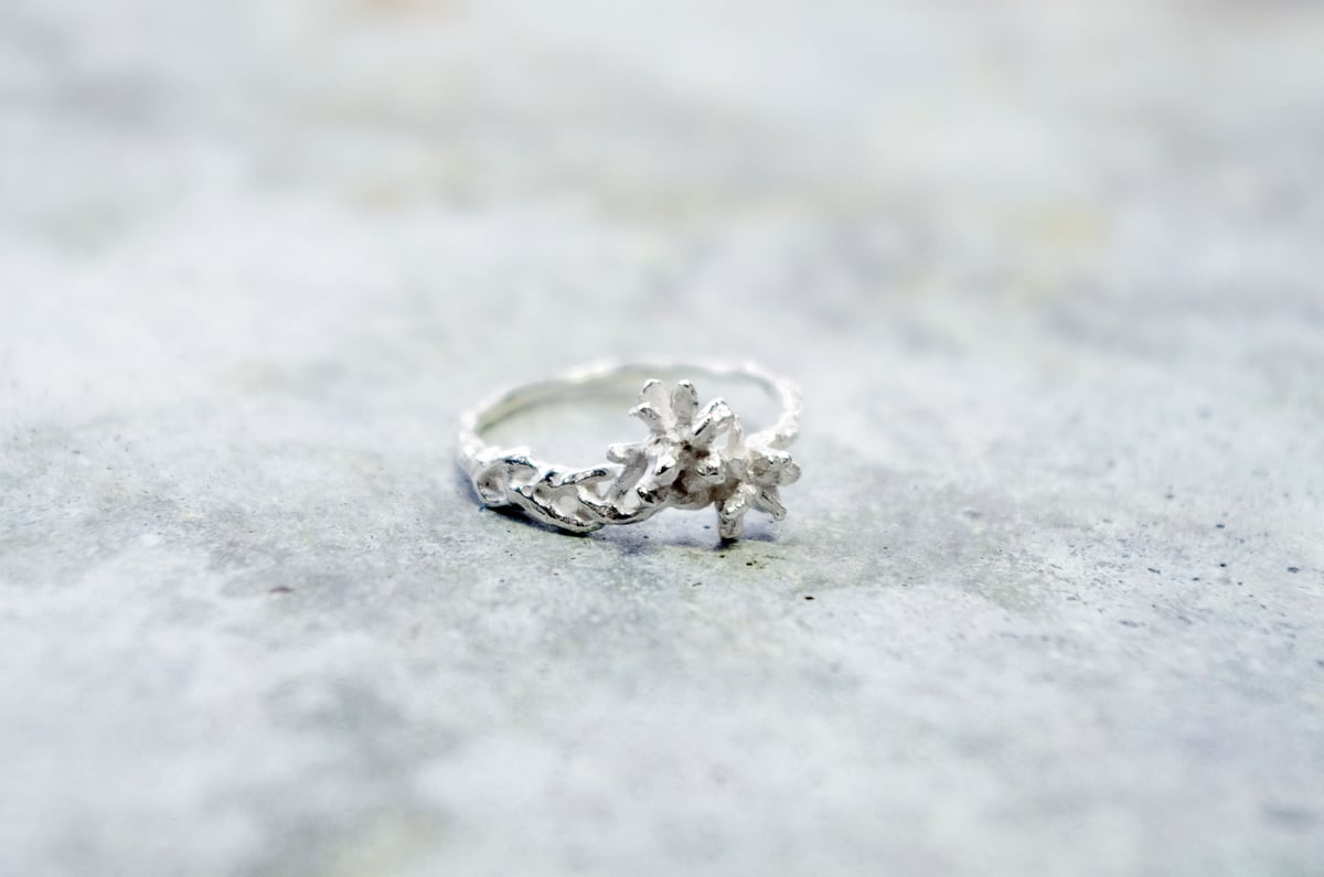 acacia ring | Fillyjonk ONLINE STORE acacia ring | Fillyjonk ONLINE STORE