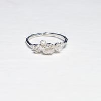 "raub ring"