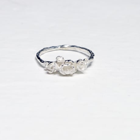 "raub ring"