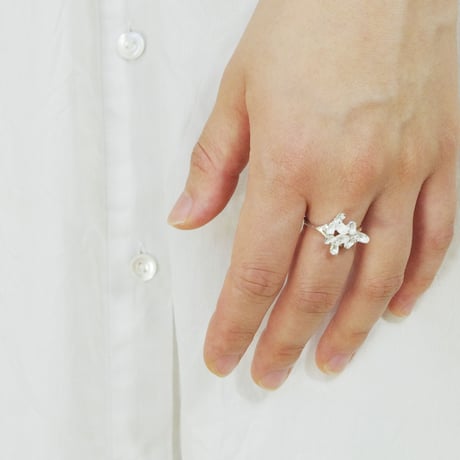 "akebia ring" wh