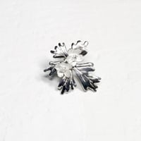 "flaccida pierce" wh/sv