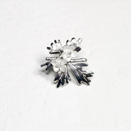 "flaccida pierce" wh/sv