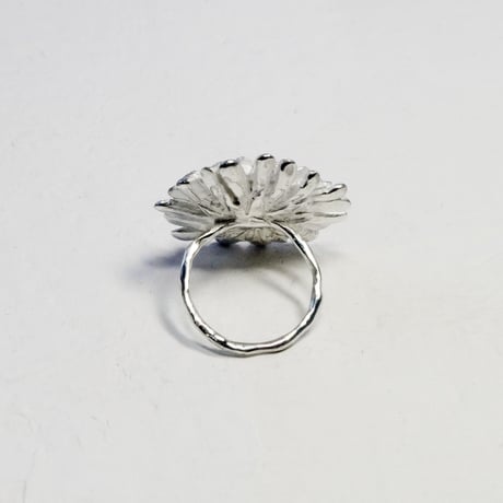 "shirobana ring"