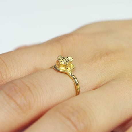 "archi ring" gold 01/03/10