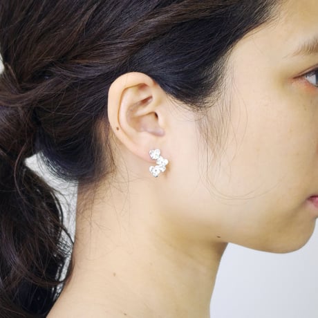 "pansy pierce" wh ①/②