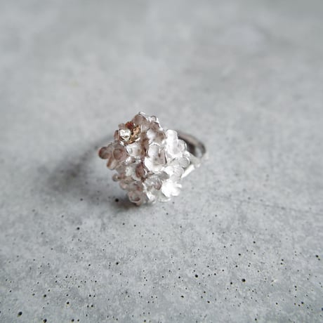 "hydrangea ring"