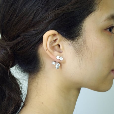 "flaccida pierce" wh/sv