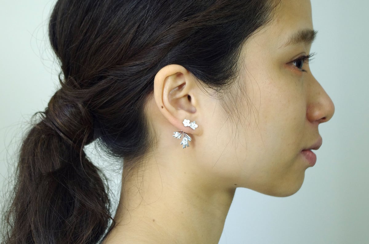 flaccida pierce
