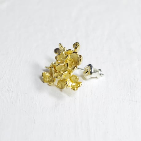 "hydrangia pierce" gold large