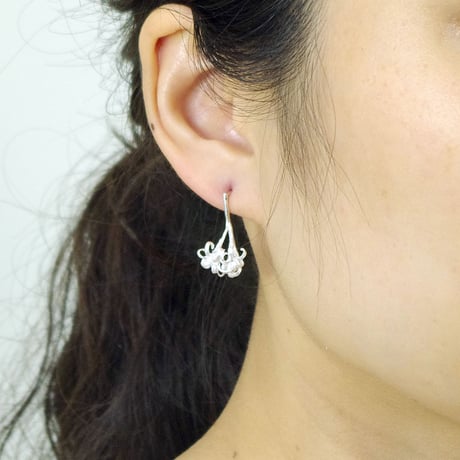 "Crinum pierced" post