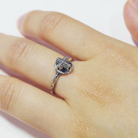 "archi ring" bk 01/03/10