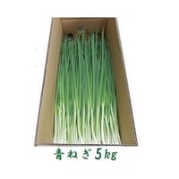 原料ねぎ 5kg