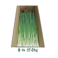原料ねぎ 10kg