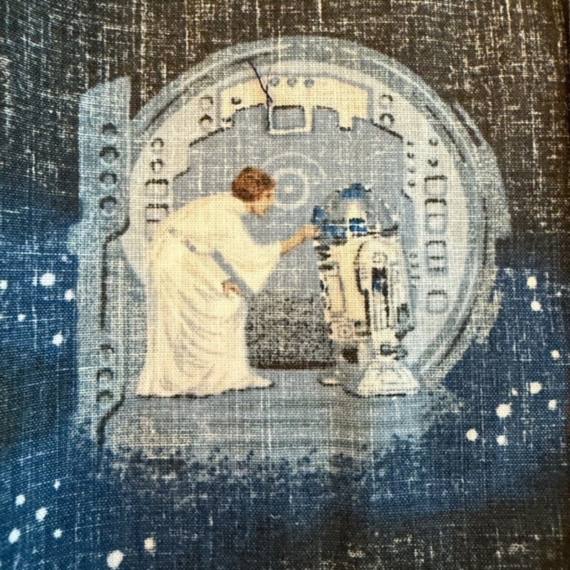 新品】レインスプーナー スターウォーズ starwars 限定 Mサイズ フル