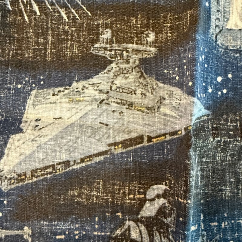 新品】レインスプーナー スターウォーズ starwars 限定 Mサイズ フル