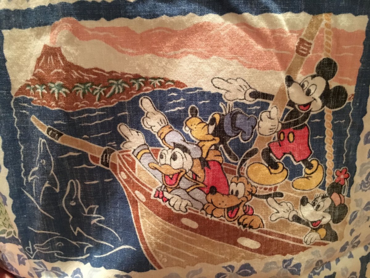 【ディズニーコラボ】レインスプーナー 美品 ディズニーコラボ】レインスプーナー 美品 - メルカリ