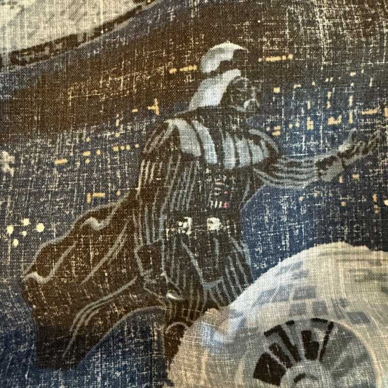 新品】レインスプーナー スターウォーズ starwars 限定 Sサイズ フル