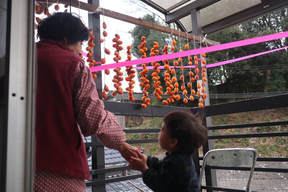 きまぐれ母さん 謹製 】 干し柿 10個～15個入 | たつみ茶園 webストア