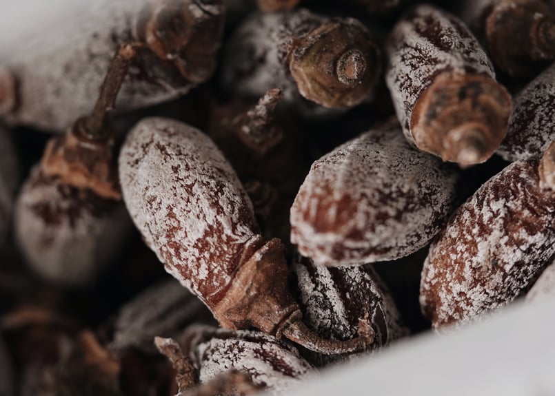 きまぐれ母さん 謹製 】 干し柿 10個～15個入 | たつみ茶園 webストア