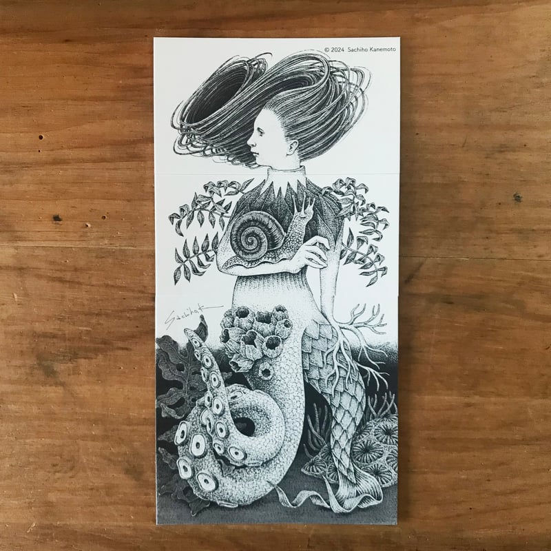 10×10×10 カードセット | GREEN-EYED CREATION