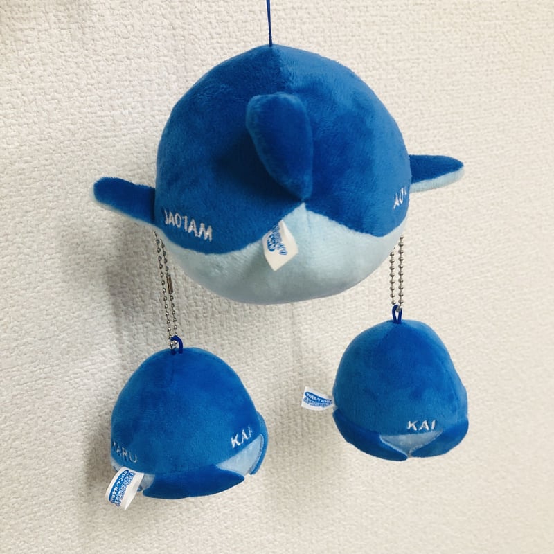 残りわずか】天草エアラインみぞか号の快くん/晴ちゃんぬいぐるみ