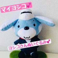 CAヨシコさんファンクラブ【Hikoki on the Head】年会費
