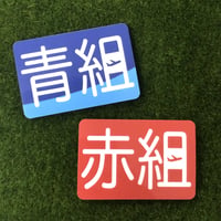 【あなたは何組？✨】青組/赤組ステッカー各種✈️✨