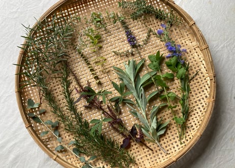 【９月LESSON 】紫陽花／モネの庭／ハーブの植物図鑑