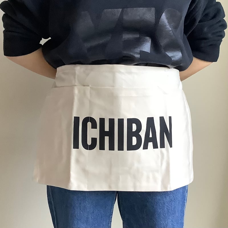 DRESSSEN LW17 LOWER WALL APRON 