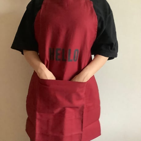 DRESSSEN  DRVBD3 REVERSIBLE  APRON“HELLO/GOODBYE ”リバーシブルエプロン)