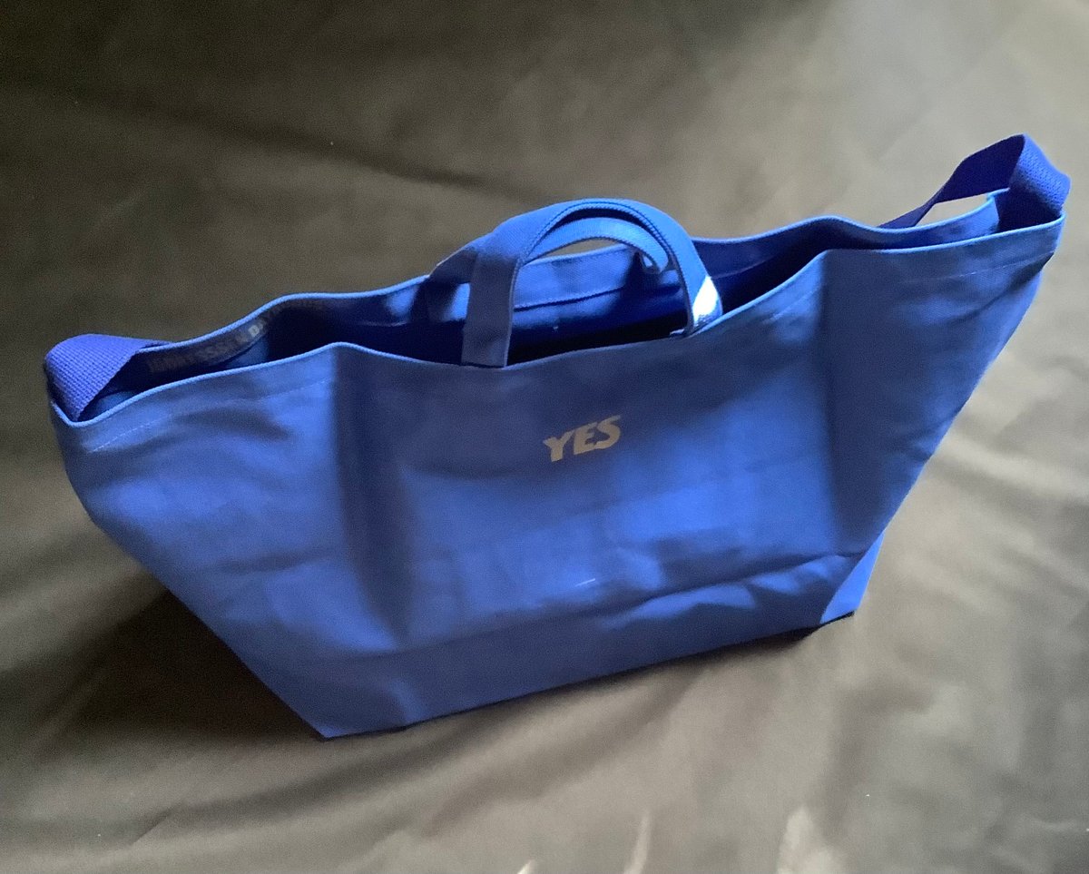 SWAN ページ S02 海外限定x4 スワンズ（SWANS）（メンズ、レディース）Airless-Leaf fit 夜間使用