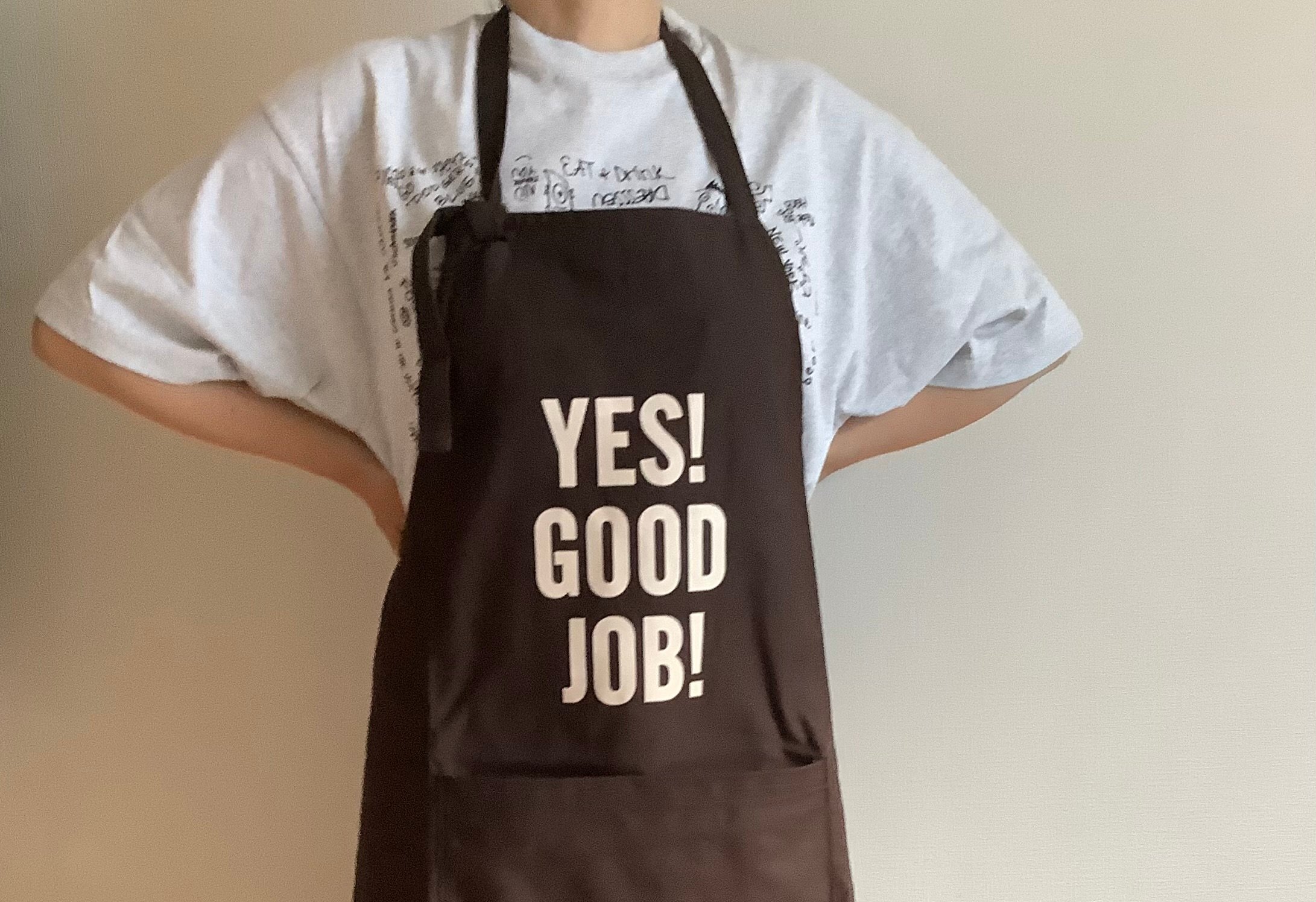 DRESSSENエプロン PRDB1 THE PROFESSIONAL APRON“ YES！GOOD JOB！(DAR