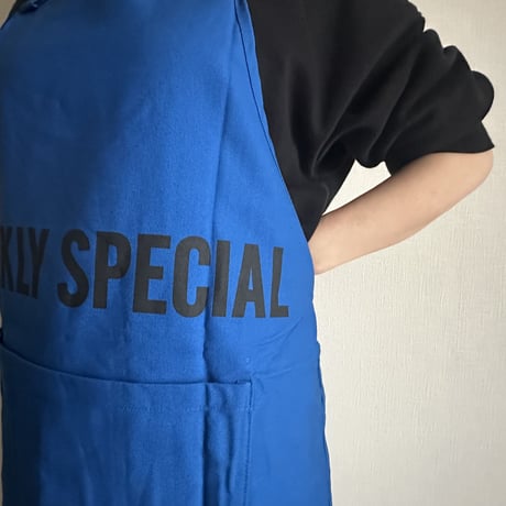 DRESSSEN  DRVBLU3   REVERSIBLE  APRON“DAILY SPECIAL/WEEKLY SPECIAL(リバーシブルエプロン)
