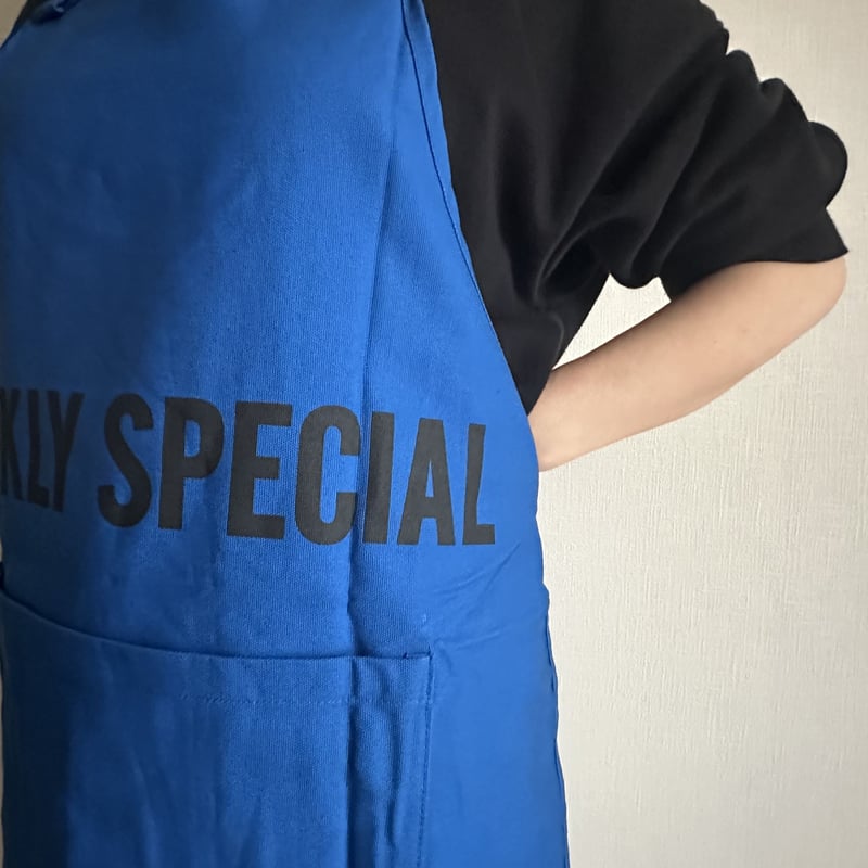 DRESSSEN DRVBLU1 REVERSIBLE APRON“DAILY SPEC DRESSSEN DRVBLU1 REVERSIBLE APRON“DAILY SPEC