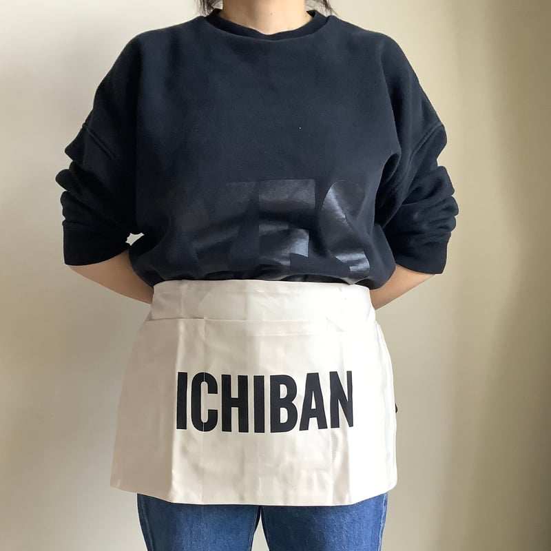 DRESSSEN LW17 LOWER WALL APRON 