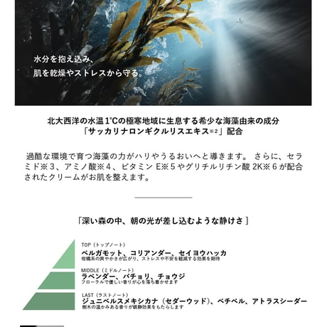 ルミエプラスラボ　ハンドクリーム
