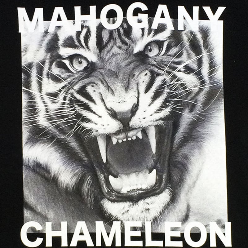 MAHOGANY TIGER