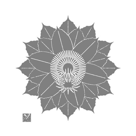 YB012　ボタニカル《ドラゴンフルーツ》 dragon fruit