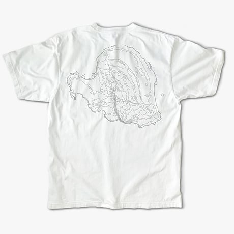 YB025　等高線　contour（背面プリント）