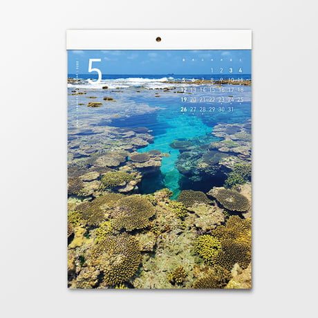 2024 yoron blue. calendar　あなたと行きたい島がある きみに見せたい海がある