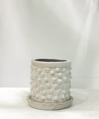 【鉢】conch antique white pot φ15
