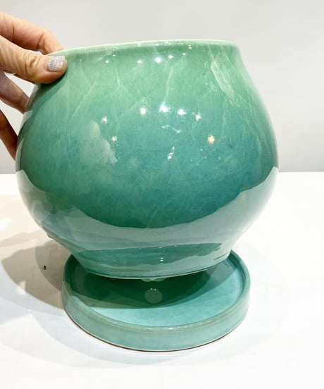 【鉢】Turnip POT