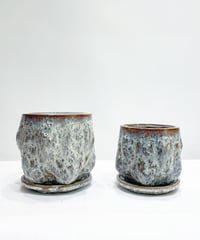 【鉢】Gnarled Pot  φ11/ φ13
